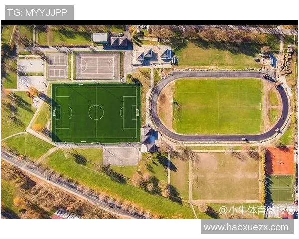 从零基础到球场新星 足球入门指南助你轻松迈向职业之路